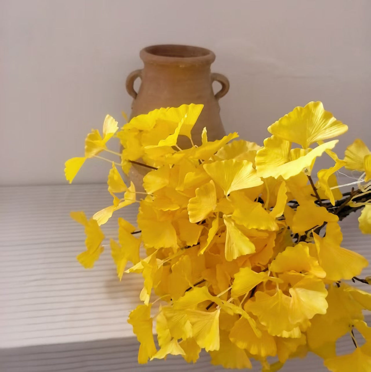 Decoratieve ginkgo biloba-tak