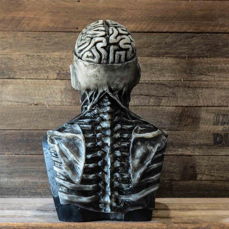 Griezelig skeletmasker – Realistisch halloweenkostuum