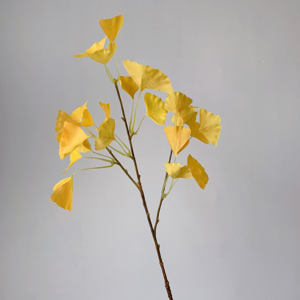 Decoratieve ginkgo biloba-tak