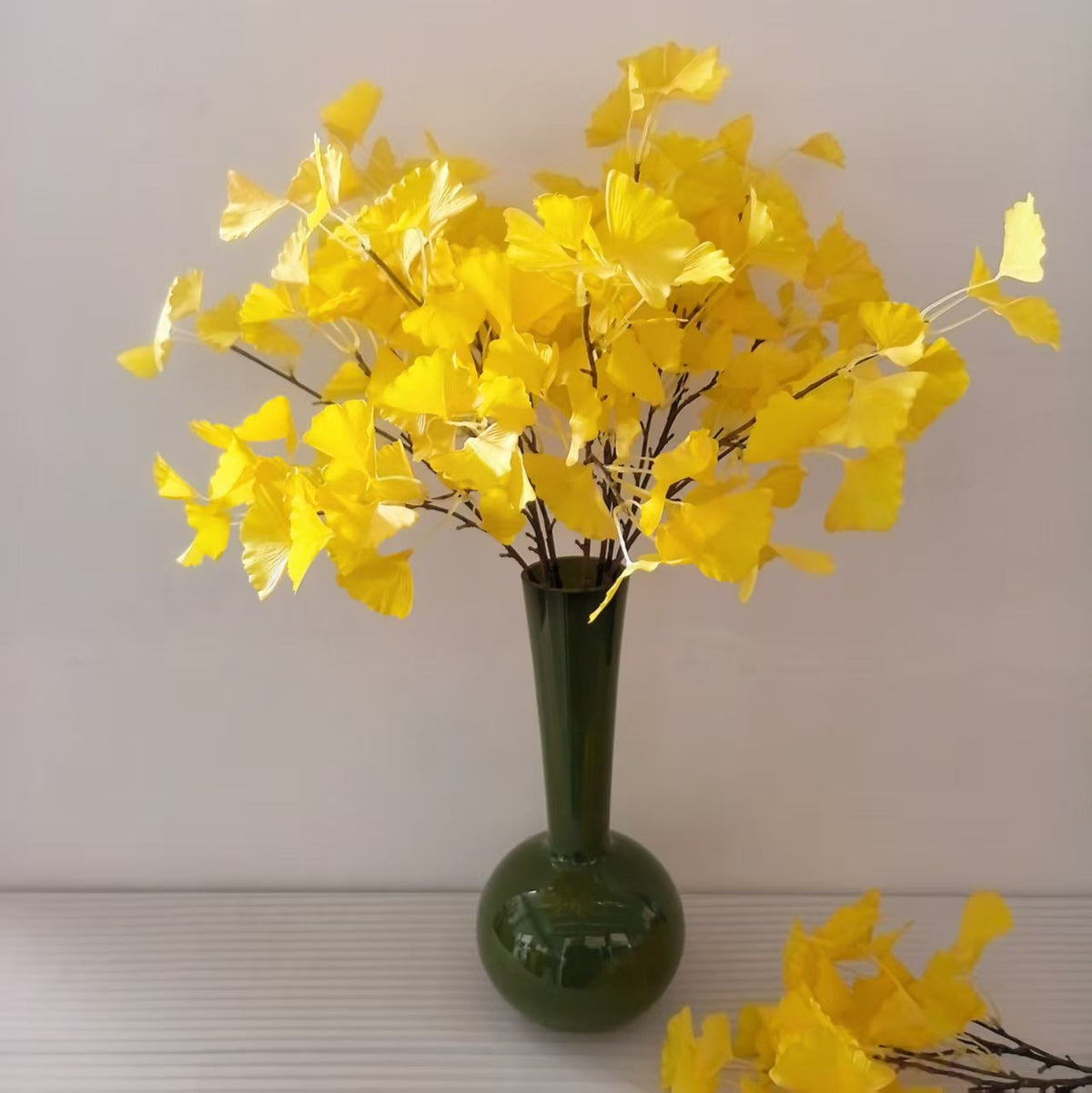 Decoratieve ginkgo biloba-tak