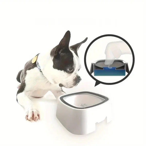 Drinkbak voor honden