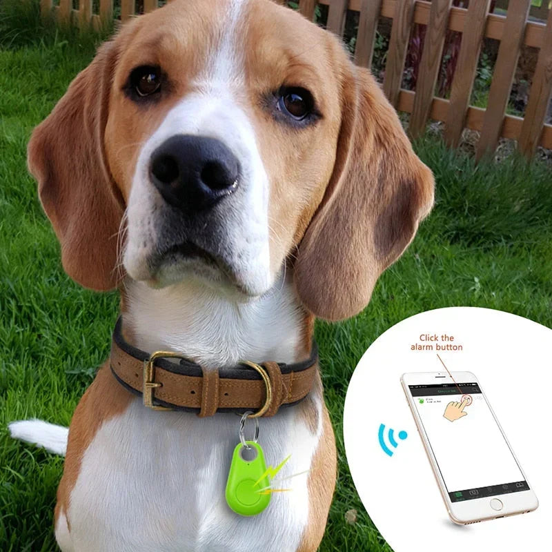 GPS Huisdier Tracker - Realtime Locatie | Waterdicht
