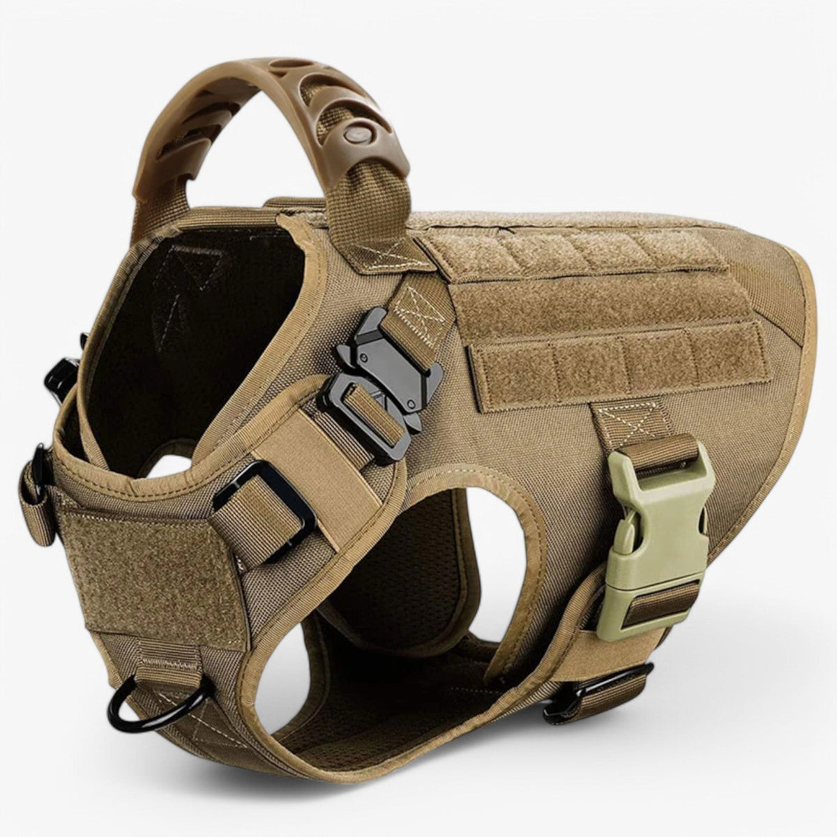 Hondenriem – Comfort en veiligheid voor training