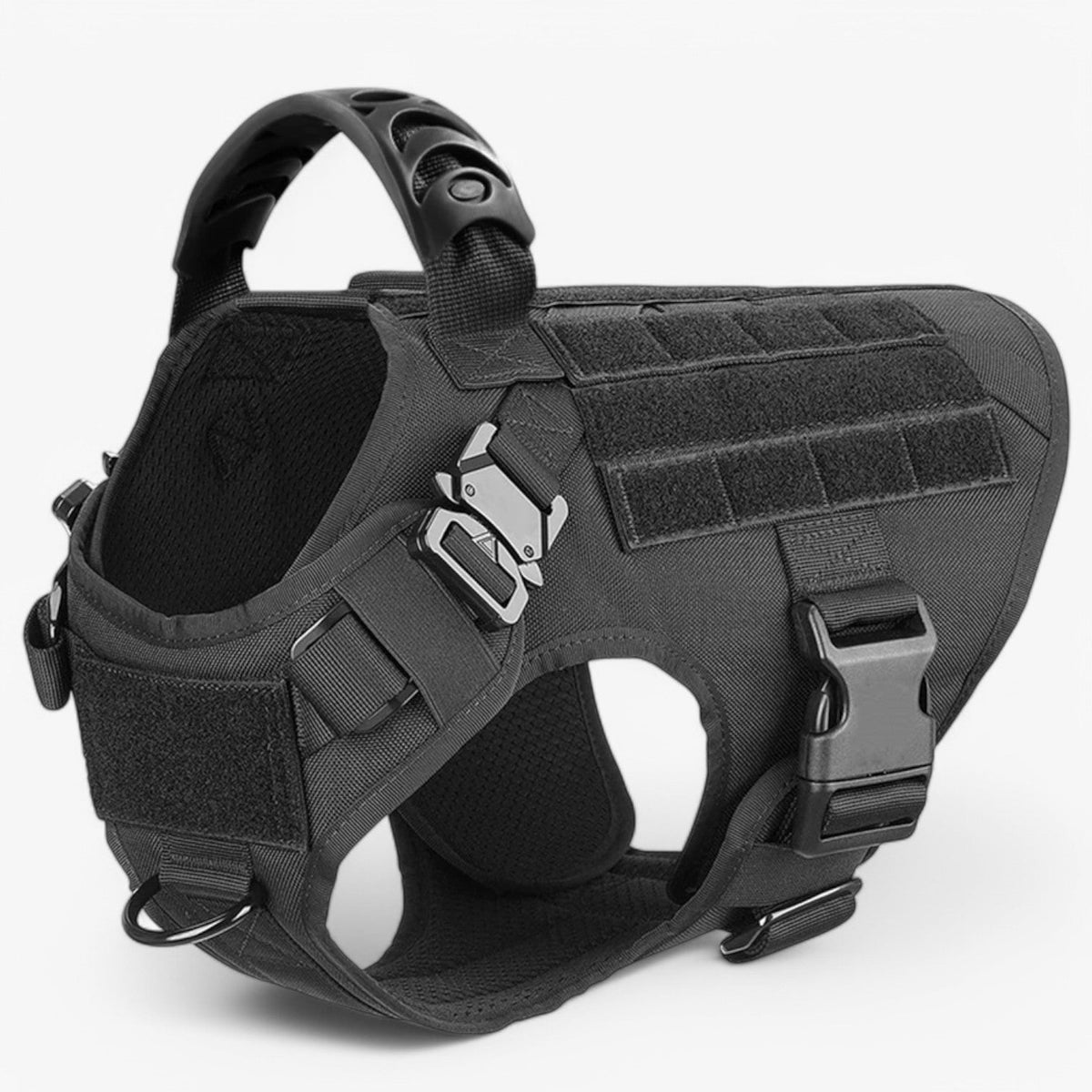 Hondenriem – Comfort en veiligheid voor training