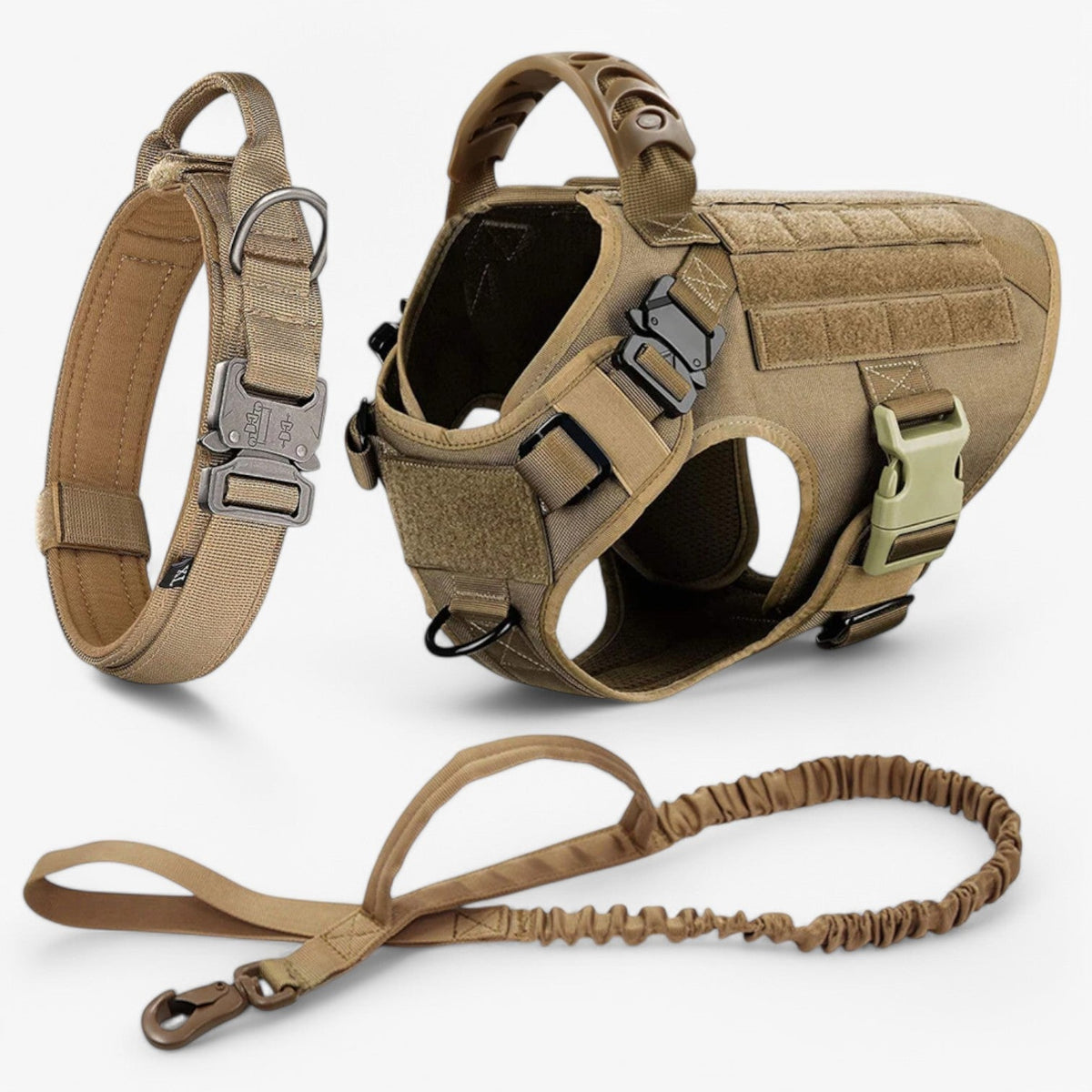 Hondenriem – Comfort en veiligheid voor training