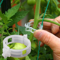 Kunststof Plantenclips voor Plantenondersteuning | Binnendiameter 1 Inch | Herbruikbaar | Stengelhouder