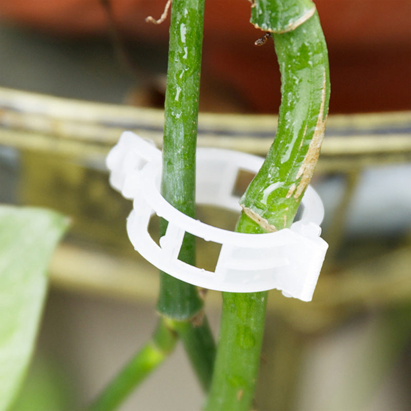 Kunststof Plantenclips voor Plantenondersteuning | Binnendiameter 1 Inch | Herbruikbaar | Stengelhouder