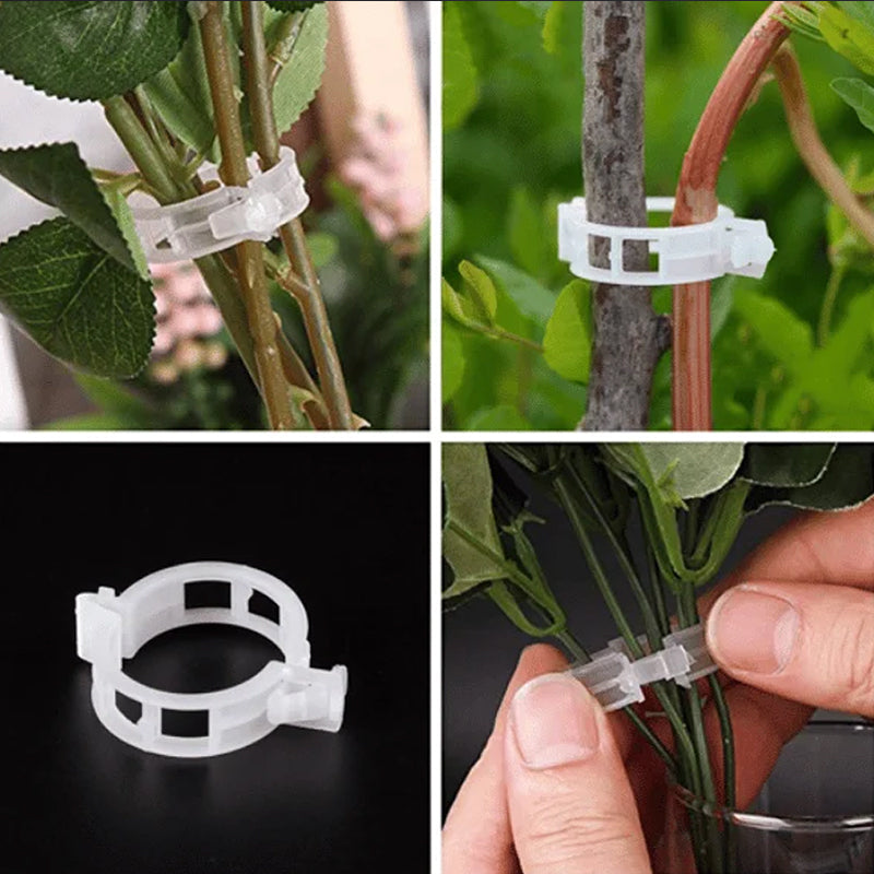 Kunststof Plantenclips voor Plantenondersteuning | Binnendiameter 1 Inch | Herbruikbaar | Stengelhouder