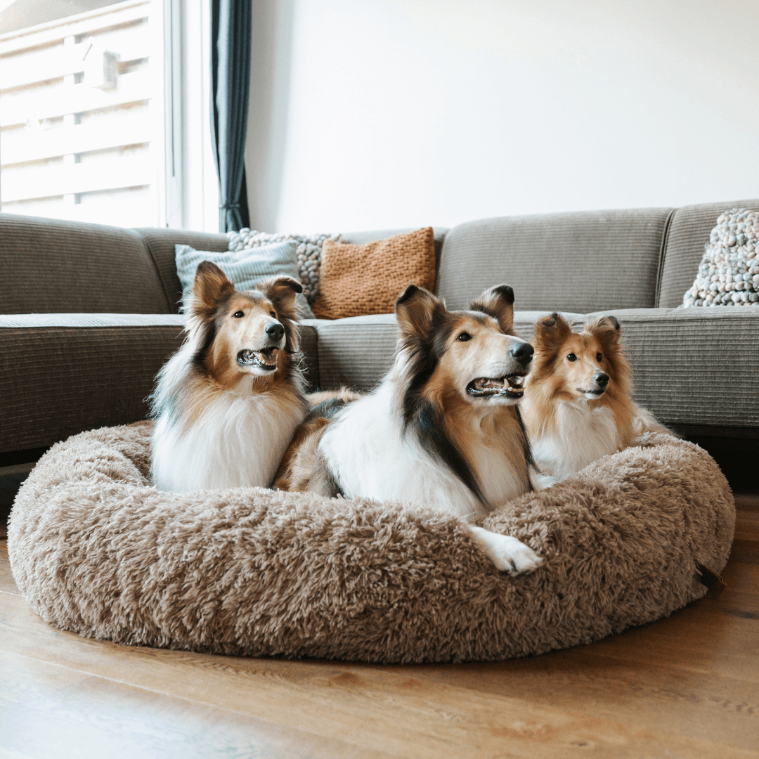 Pluizige angstverminderende donut hondenmand voor alle honden