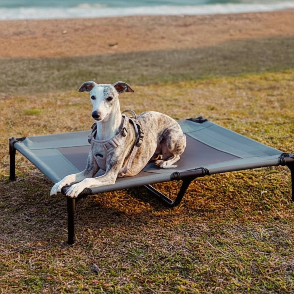 Verhoogde hondenmand met koelmat en uv-bescherming voor outdoor comfort