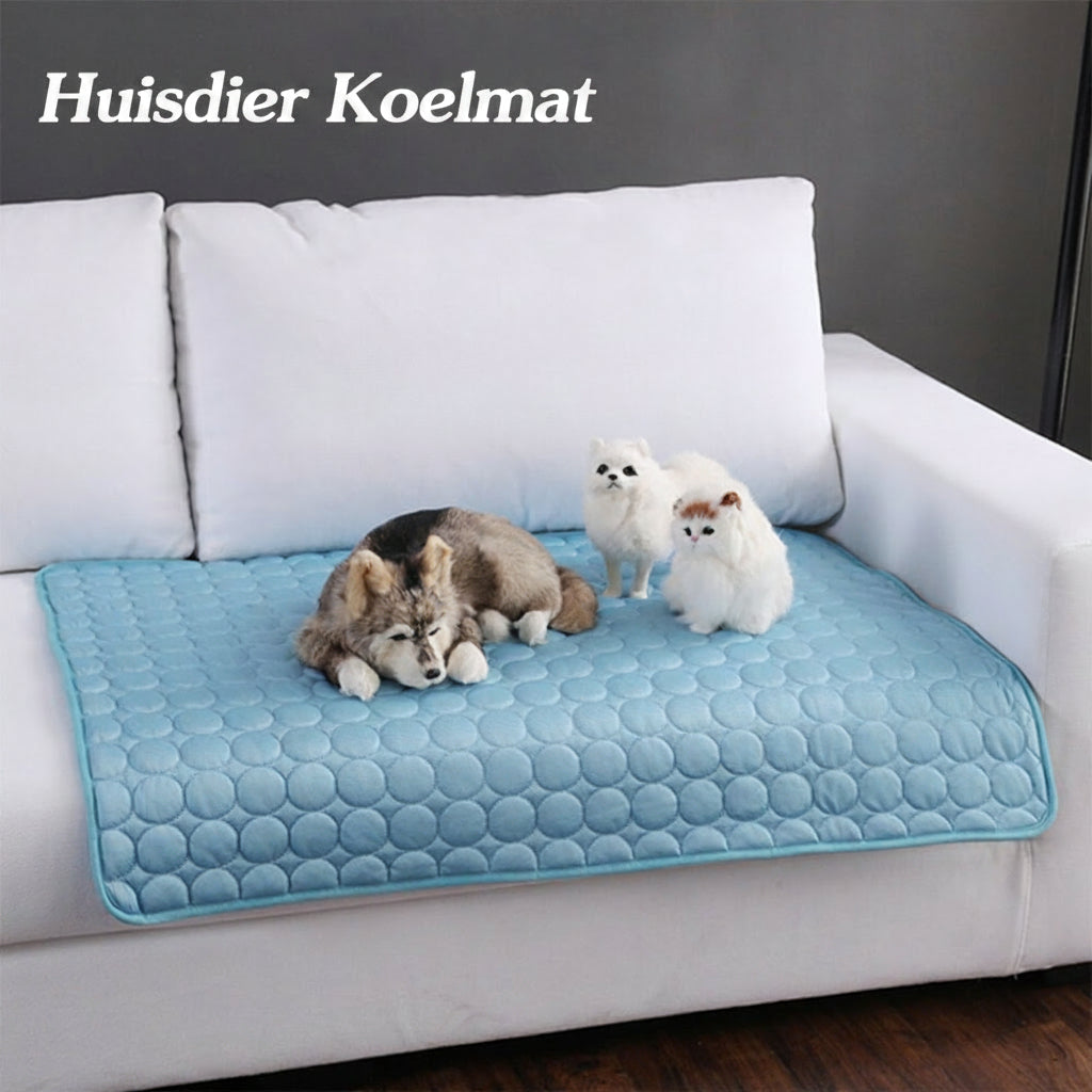 Zomerse koelmat van ijszijde voor huisdieren (honden of katten)
