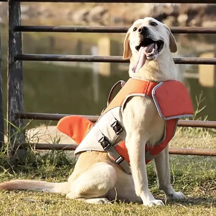 Zwemvest voor honden met drijfhulp
